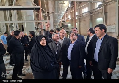 بررسی مشکلات کارخانه‌های کاشی جم و سامان در بروجرد