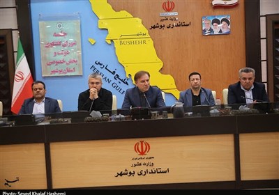 استان،بوشهر،فعالان،اقتصادي،مشكلات،اصناف،مهرانگيز،انسجام،دادگ ...