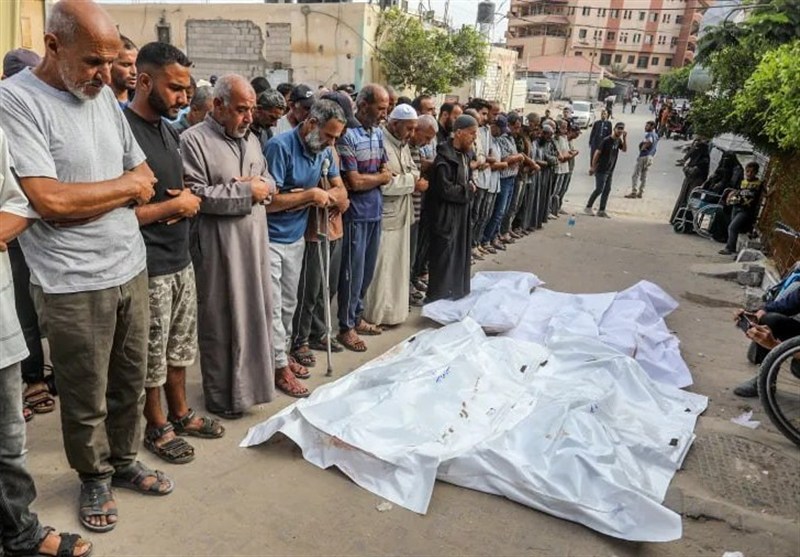 55 Palestinians Killed As Israel Pushes Mass Detention in Southern Gaza