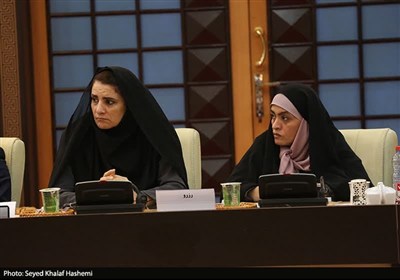 بررسی مشکلات فعالان اقتصادی بوشهر در شورای گفت‌وگوی دولت و بخش خصوصی