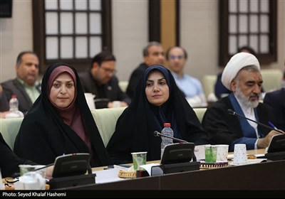 بررسی مشکلات فعالان اقتصادی بوشهر در شورای گفت‌وگوی دولت و بخش خصوصی