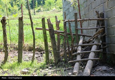 &quot;پلام رحیم آباد&quot;روستایی منحصر به فرد در دل طبیعت گیلان