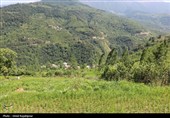"پلام رحیم آباد"روستایی منحصر به فرد در دل طبیعت گیلان