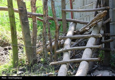 &quot;پلام رحیم آباد&quot;روستایی منحصر به فرد در دل طبیعت گیلان
