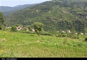"پلام رحیم آباد"روستایی منحصر به فرد در دل طبیعت گیلان