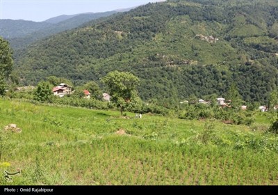 &quot;پلام رحیم آباد&quot;روستایی منحصر به فرد در دل طبیعت گیلان
