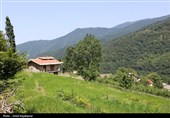 "پلام رحیم آباد"روستایی منحصر به فرد در دل طبیعت گیلان