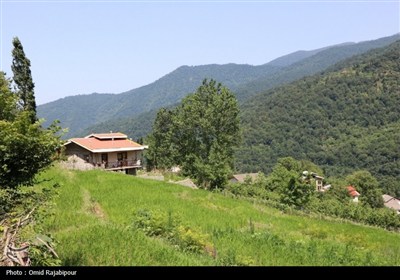 &quot;پلام رحیم آباد&quot;روستایی منحصر به فرد در دل طبیعت گیلان