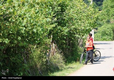&quot;پلام رحیم آباد&quot;روستایی منحصر به فرد در دل طبیعت گیلان