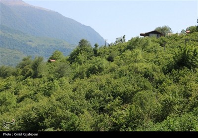 &quot;پلام رحیم آباد&quot;روستایی منحصر به فرد در دل طبیعت گیلان
