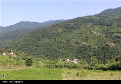 &quot;پلام رحیم آباد&quot;روستایی منحصر به فرد در دل طبیعت گیلان