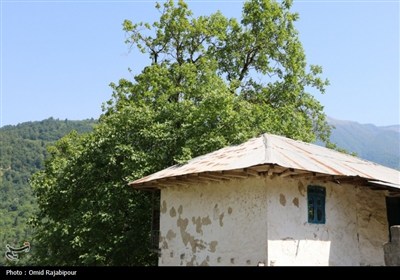 &quot;پلام رحیم آباد&quot;روستایی منحصر به فرد در دل طبیعت گیلان