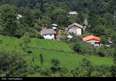 &quot;پلام رحیم آباد&quot;روستایی منحصر به فرد در دل طبیعت گیلان