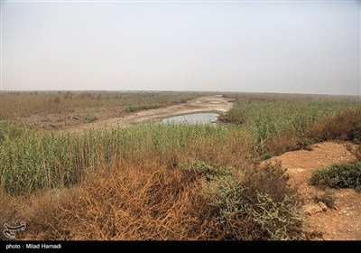 بازدید استاندار خوزستان از تالاب هورالعظیم و نقطه صفر مرزی