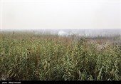بازدید  استاندار خوزستان از تالاب هورالعظیم و نقطه صفر مرزی