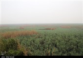 بازدید  استاندار خوزستان از تالاب هورالعظیم و نقطه صفر مرزی