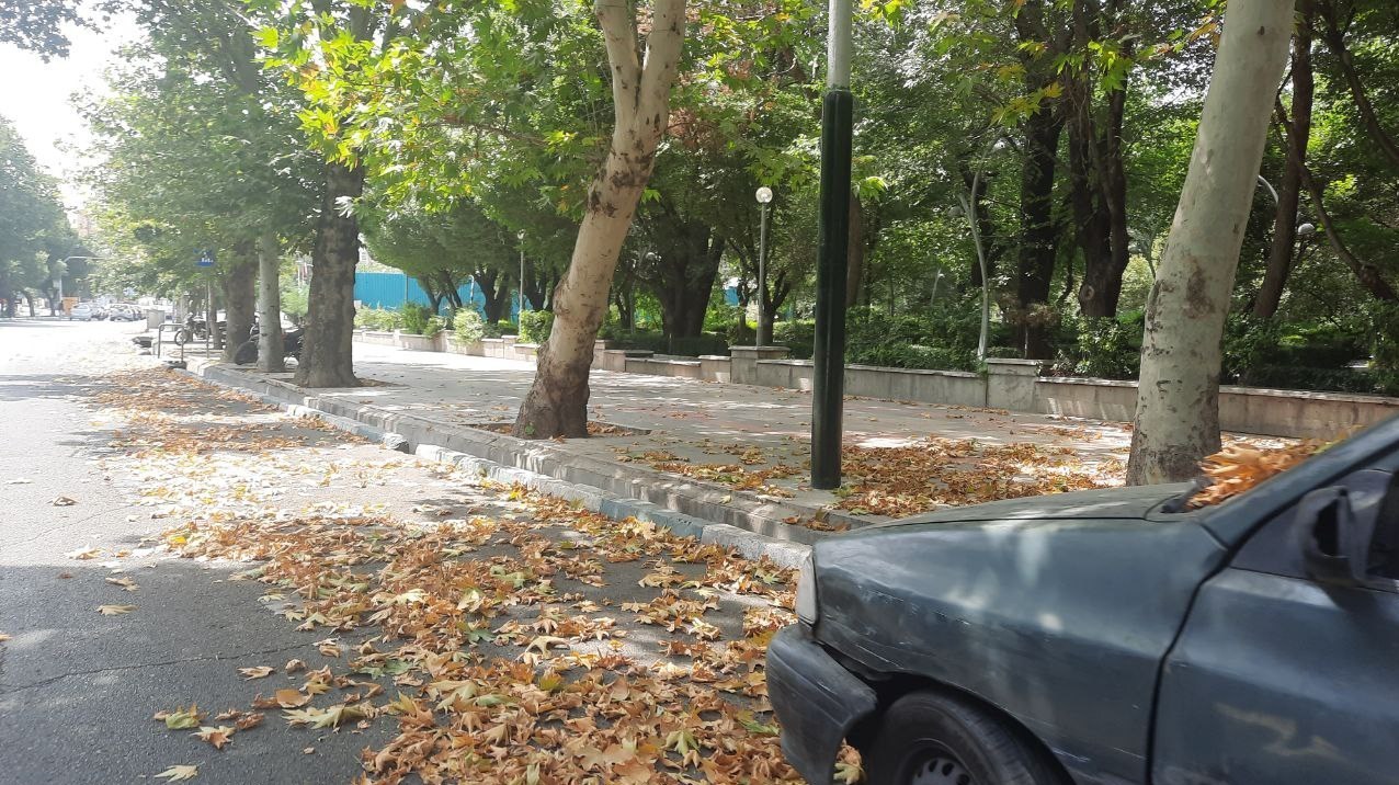 گرما , بحران های محیط زیست ,