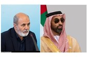 Iran, UAE Urge Concerted Action for Regional Security