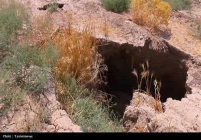 آب،كاهش،فرونشست،كشاورزي،زمين،زيرزميني،منابع،منطقه،ورامين،دشت ...