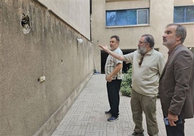 انجمن،سينمايي،سينما،سازمان،دلجويي،مشاور،مديرعامل