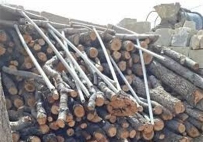 استان،اردبيل،طبيعي،منابع،حوزه،قليزاده،آبخيزداري،زغال،مديركل، ...