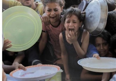 غزه،گرسنگي،دست،آرد،جنگ،كودك،روز،سوء،تغذيه،فلسطيني،شدت،كودكان ...