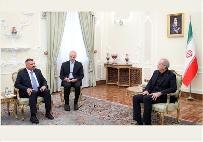 Iran Urges Concerted Regional Action against Israel