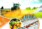 تامین حداکثری ذخایر راهبردی کشاورزی برای 6 ماه