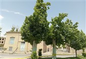 بازسازی فضای سبز نیشابور در کوتاهمدت؛ شهروندان چه میگویند؟