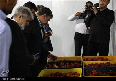 سفر میدانی استاندار اردبیل به بیله‌سوار؛ از ادای احترام به شهدا تا بررسی مشکلات مردم