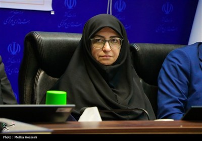 سفر رئیس سازمان حفاظت محیط زیست کشور به استان مرکزی