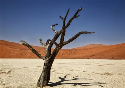 معنوي،اذكار،اهل،ادعيه،معتبر،بيت،دين،اوراد،دعاي،اصيل،توصيه،قر ...