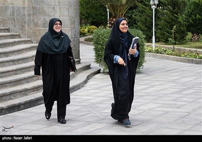 در حاشیه جلسه هیات دولت