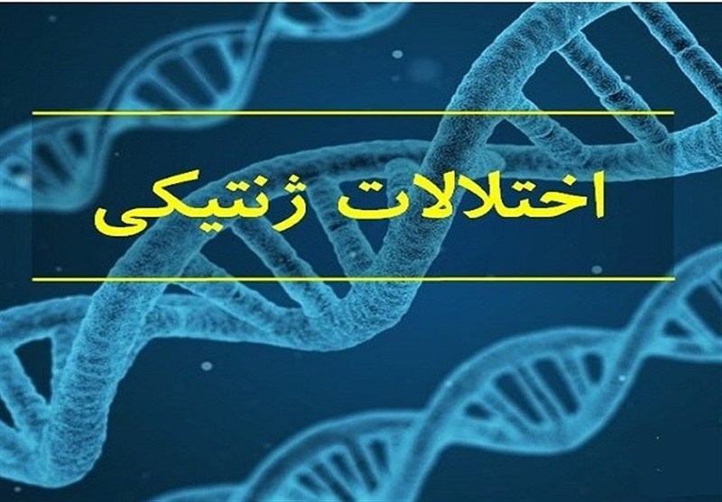بهزيستي،آزمايشات،معلوليت،اختلالات،خراسان،تشخيص،جنوبي،توانبخش ...