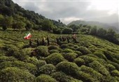 «مهد عاشقان»؛ روایتی هنری از فرهنگ انتظار و عشق ولایی
