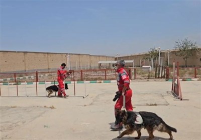 آوار،زنده،سگ،نجات،اعزام،تخصصي،اوليه،عمليات،حضور،تيم،قلاده