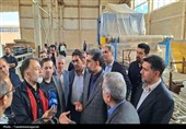 بازدید میدانی معاون وزیر صمت از واحدهای صنعتی قزوین