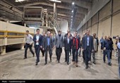 بازدید میدانی معاون وزیر صمت از واحدهای صنعتی قزوین