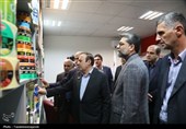بازدید میدانی معاون وزیر صمت از واحدهای صنعتی قزوین