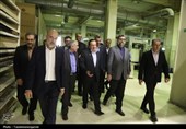 بازدید میدانی معاون وزیر صمت از واحدهای صنعتی قزوین