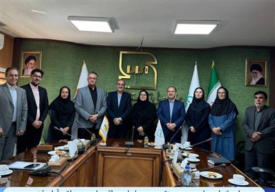 قشم،استاندارد،آزاد،سازمان،منطقه،ملي،اقتصادي،ارتقاء،مناطق،نقش ...