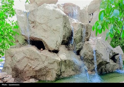 گردشگري،كاشان،شهرستان،برگزاري،فرهنگي،هفته،برنامه،رونمايي،تور ...