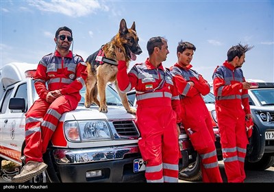 مرکز آنست
