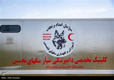 مرکز آنست