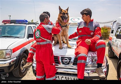 مرکز آنست