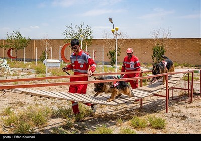 مرکز آنست