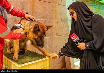 مرکز آنست
