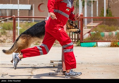 مرکز آنست
