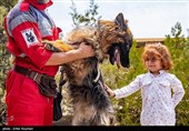 IRCS Runs Rescue Dog Training Center