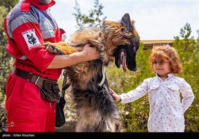 IRCS Runs Rescue Dog Training Center